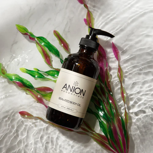 Why Seaweed: The Benefits For Your Body