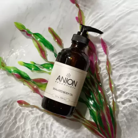 Why Seaweed: The Benefits For Your Body