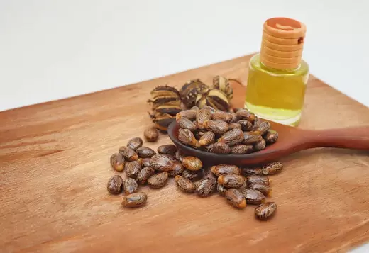 The Health Benefits of Castor Oil